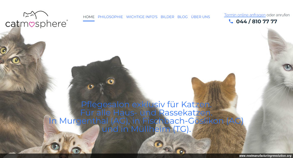 catmosphere Katzensalon Katzenbaden.ch